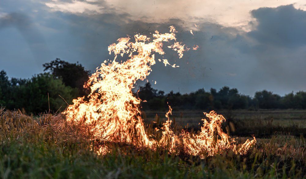 Incendio sulle alture di Pra’, evacuate diverse abitazioni