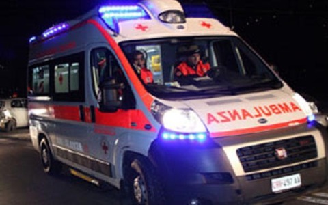 Lupetta di quattro mesi salvata a Sori: ora è al Cras
