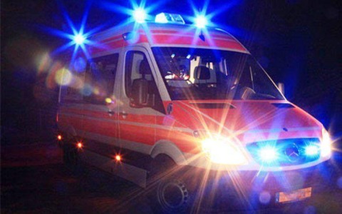 Sori, morta la cucciola di lupo soccorsa in un giardino