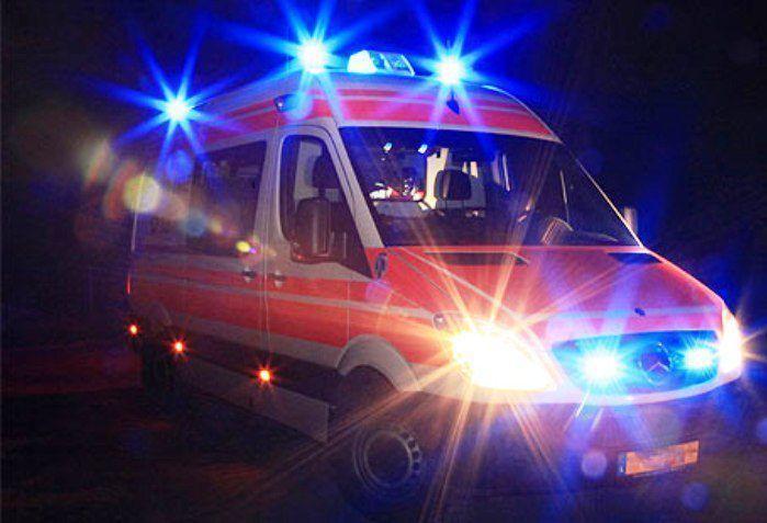 Sori, morta la cucciola di lupo soccorsa in un giardino